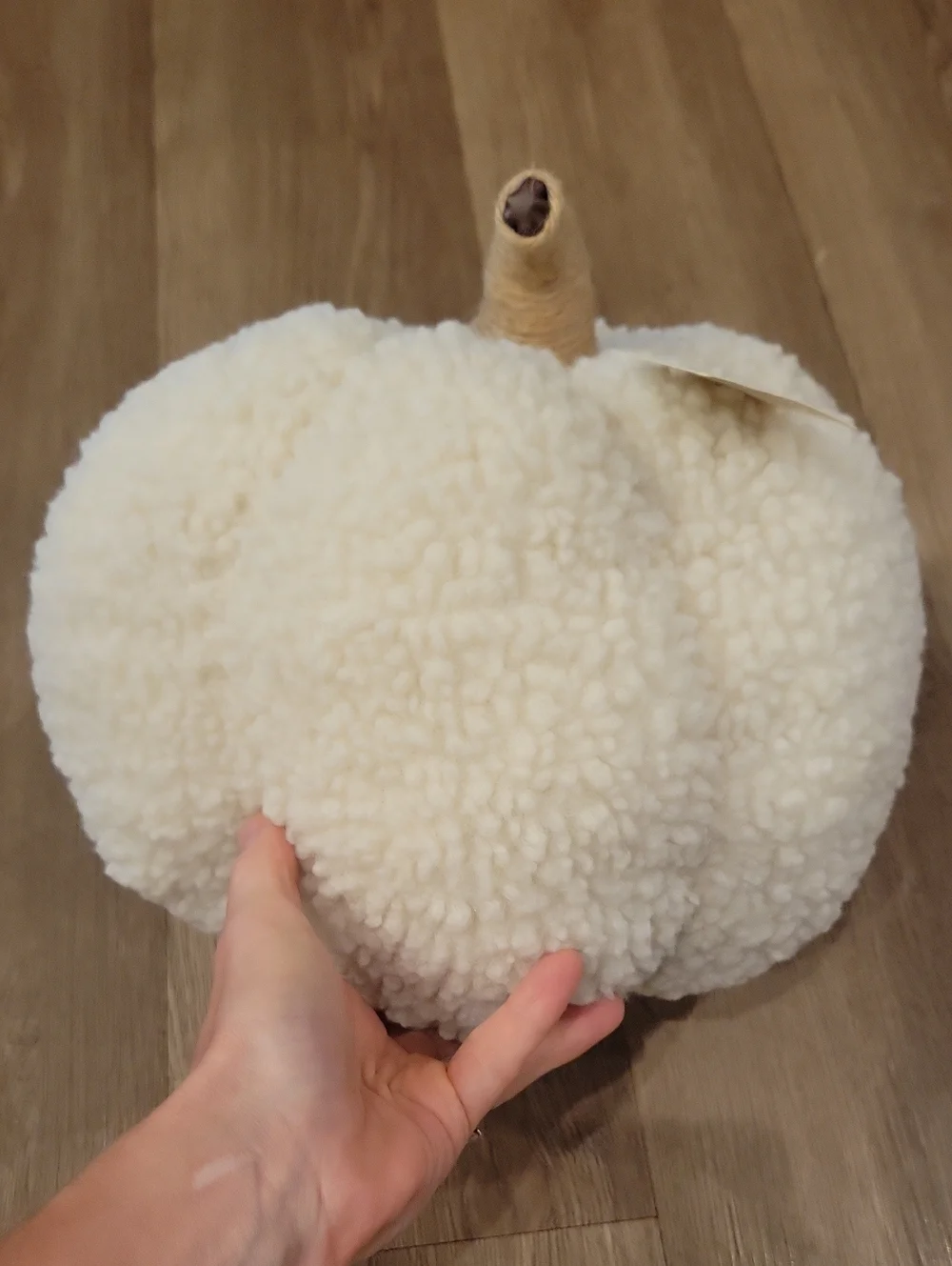 Harvest Pillow Pumpkin